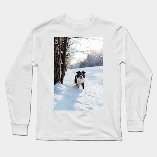 Border Collie Long Sleeve T-Shirt by DZanotto